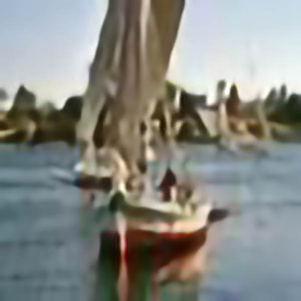 Feluccas - Butterflies of the Nile